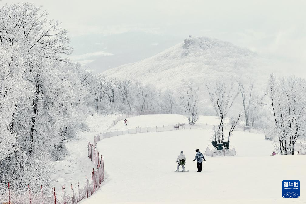 从阿尔卑斯山到长白山：“世界冰雪黄金纬度带”冰雪经济正“火热”