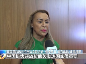 多国人士：中国方案为完善全球治理贡献智慧