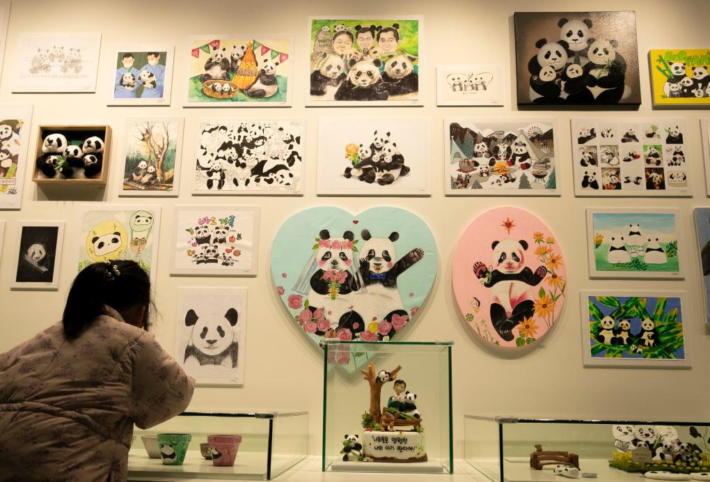 熊猫“福宝”回国在即 韩国民众依依不舍