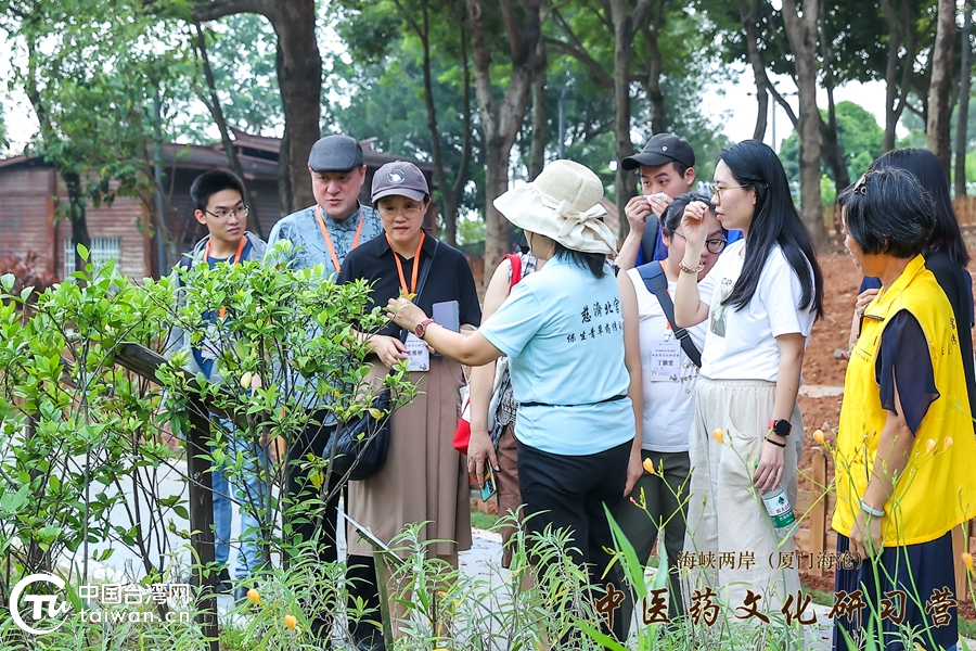 2024海峡两岸（厦门海沧）中医药文化研习营活动圆满收官