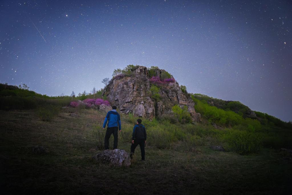 花语星空：一场星与花的对话