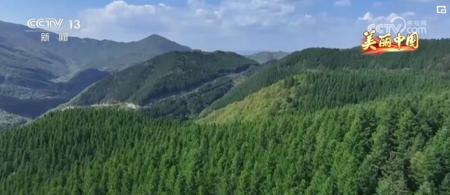 山清水秀引客来 绿水青山生态愿景成为生活美景