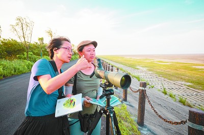 这片滩涂 连接了中国与世界