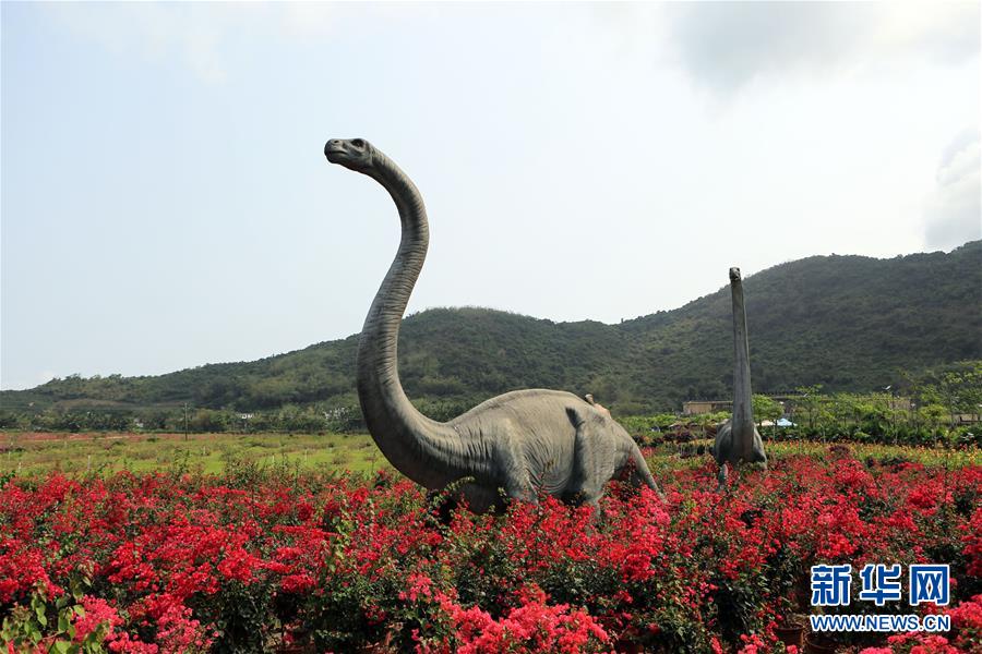 海南：发展全域旅游 打造海岛度假胜地