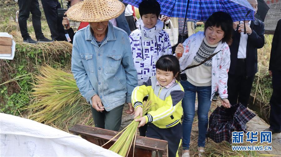 云上丰收节：两岸共叙老区村“浪漫”振兴路