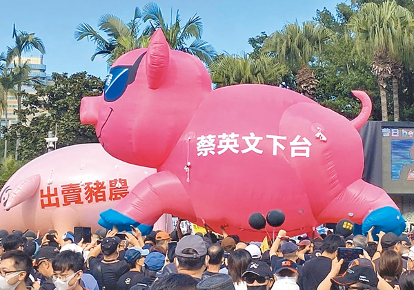 民进党当局拍板莱猪进口管理措施 在野党炮轰欺骗大众