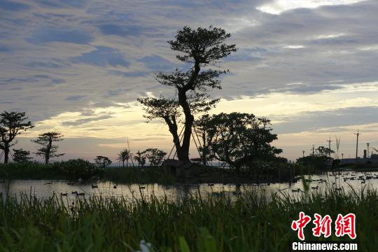 臺灣企業(yè)在花蓮海灣打造“綠色、智能、文創(chuàng)”新市鎮(zhèn)