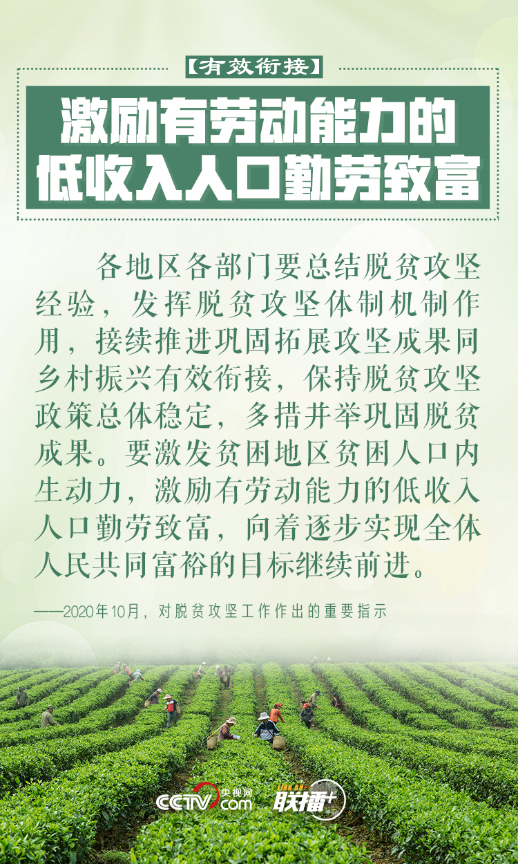 做好乡村振兴大文章 习近平反复强调这四个字