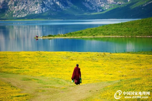 中科院評(píng)估報(bào)告：西藏高原生態(tài)系統(tǒng)總體趨好