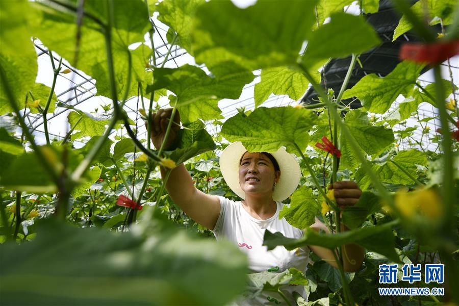 從大山深處到大河之畔——寧夏持續(xù)移民百萬“拔窮根”啟示