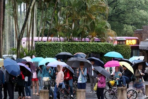 台湾企业家：别让台大成为有钱人跳板