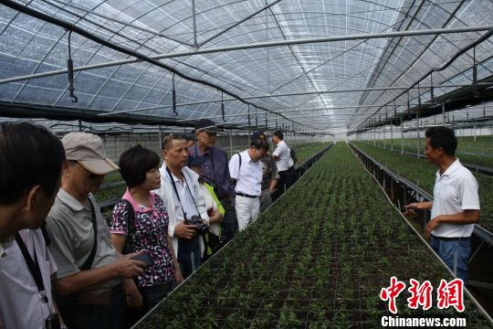 臺(tái)灣媒體代表團(tuán)走進(jìn)云南祿勸贊彝族刺繡