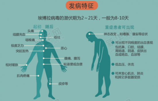 [扫盲贴]图解埃博拉病毒