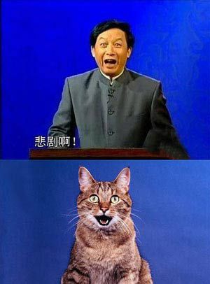 范冰冰小沈陽周杰倫 爆笑:明星像什么動物(圖)