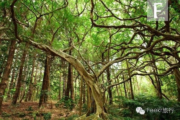 史上最全的臺(tái)灣電影目的地！