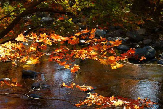 2014入秋京城賞紅葉哪里好 14個(gè)紅葉觀賞地精品推薦