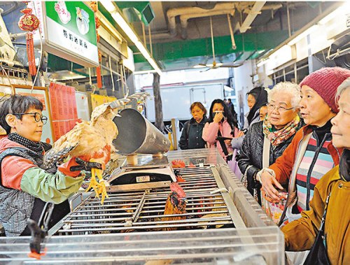 深圳活禽休市3周 香港官方:無須暫停內(nèi)地供港活雞