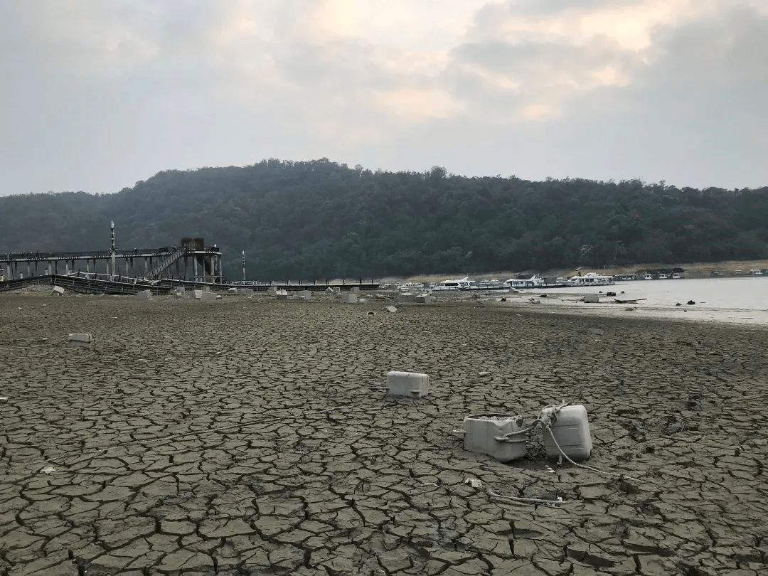 “看台海”网友去了日月潭 结果...