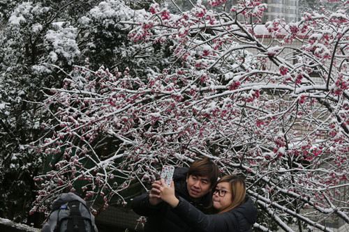 全台湾疯赏雪 凌晨排队上山追雪景