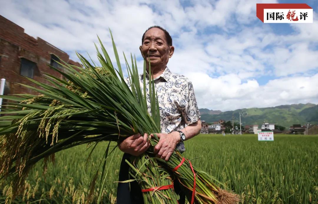 国际锐评：世界为何刷屏怀念袁隆平