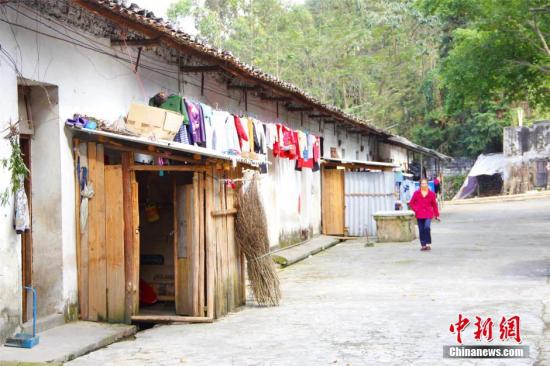 大陸力挺農(nóng)村創(chuàng)富 完成全面小康最后一塊拼圖