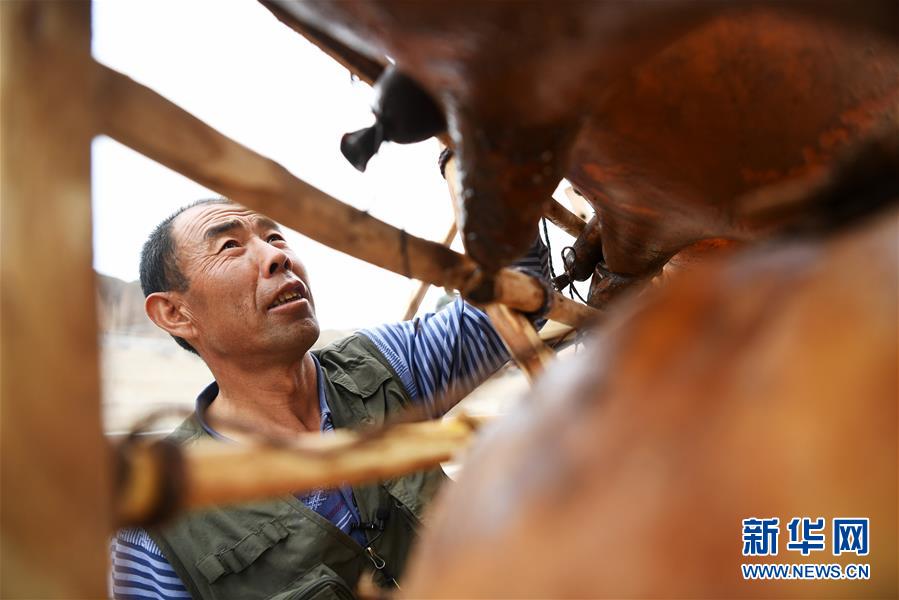 黄河上的“摆渡人”