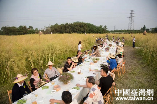 台湾姑娘在四川做农场主 与两岸青年一起种“田园梦”