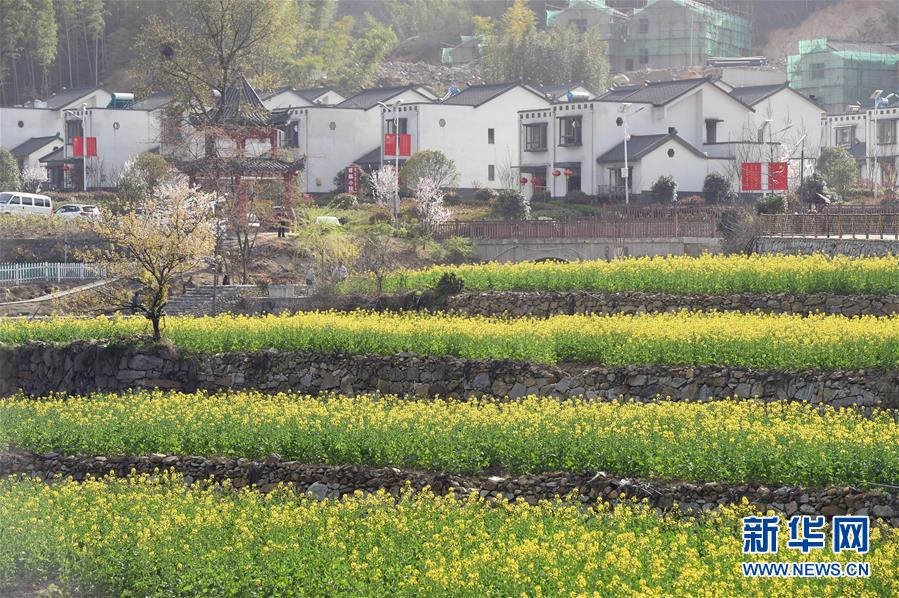 红土地上的“绿色减贫”决战——大别山“将军县”金寨脱贫纪实