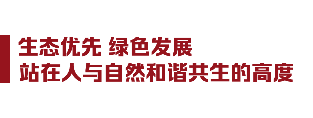 大党丨人民富裕 中国美丽