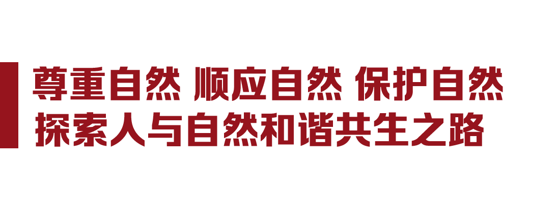 大党丨人民富裕 中国美丽