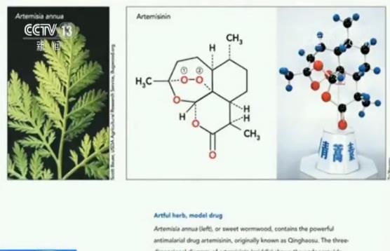 屠呦呦团队发布新成果 “青蒿素抗药性”研究获新突破