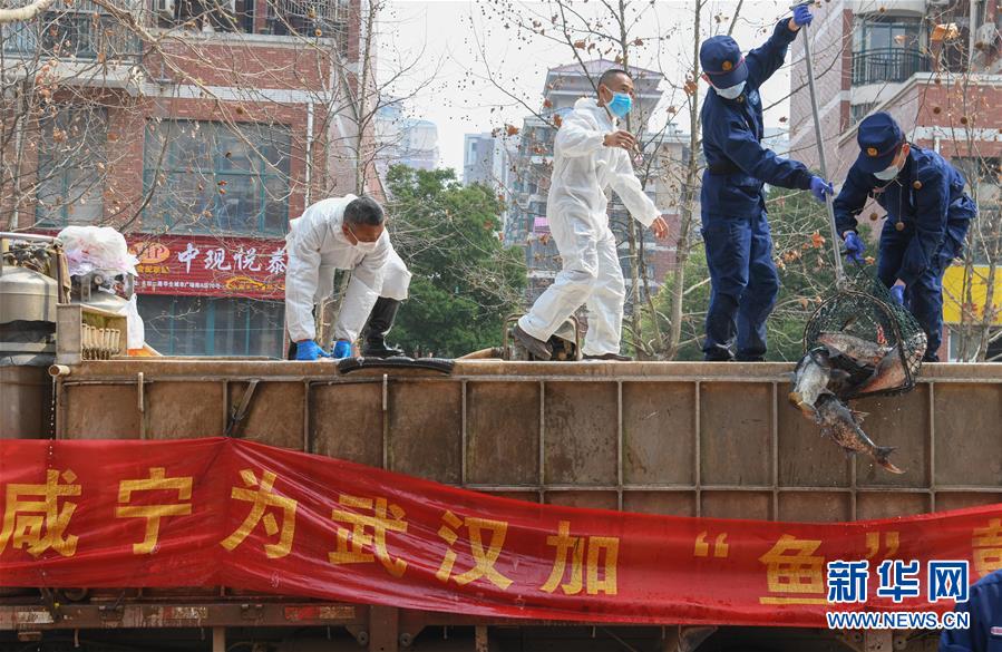 风雨无阻向前进——写在全国疫情防控阻击战取得重大战略成果之际