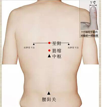 图片默认标题