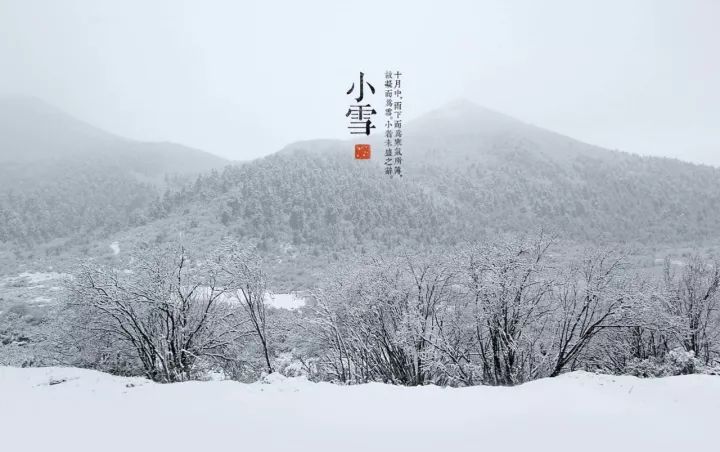 “小雪”來了|絕愛初冬萬瓦霜，愿有人陪你