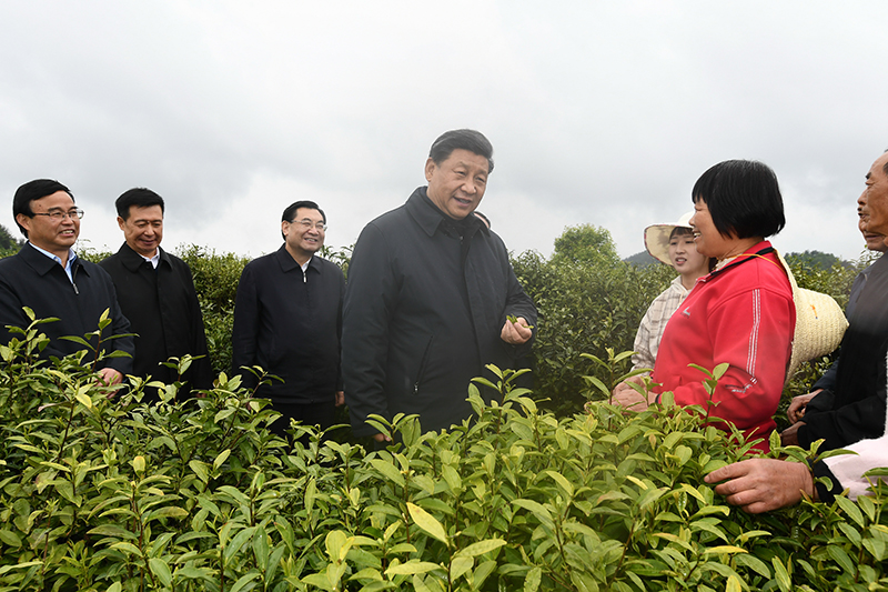 保护生态环境，牢记习近平提出的“五个追求”