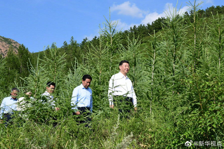 习近平深入喀喇沁旗林场农村考察调研