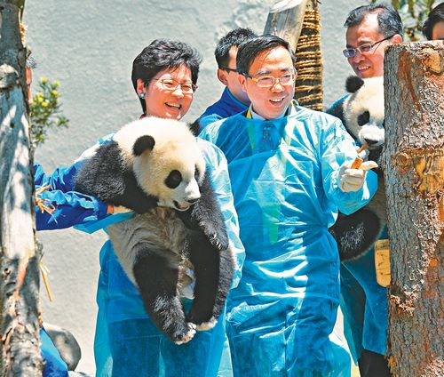 四川回馈港府援建 卧龙熊猫基地向港人免费开放