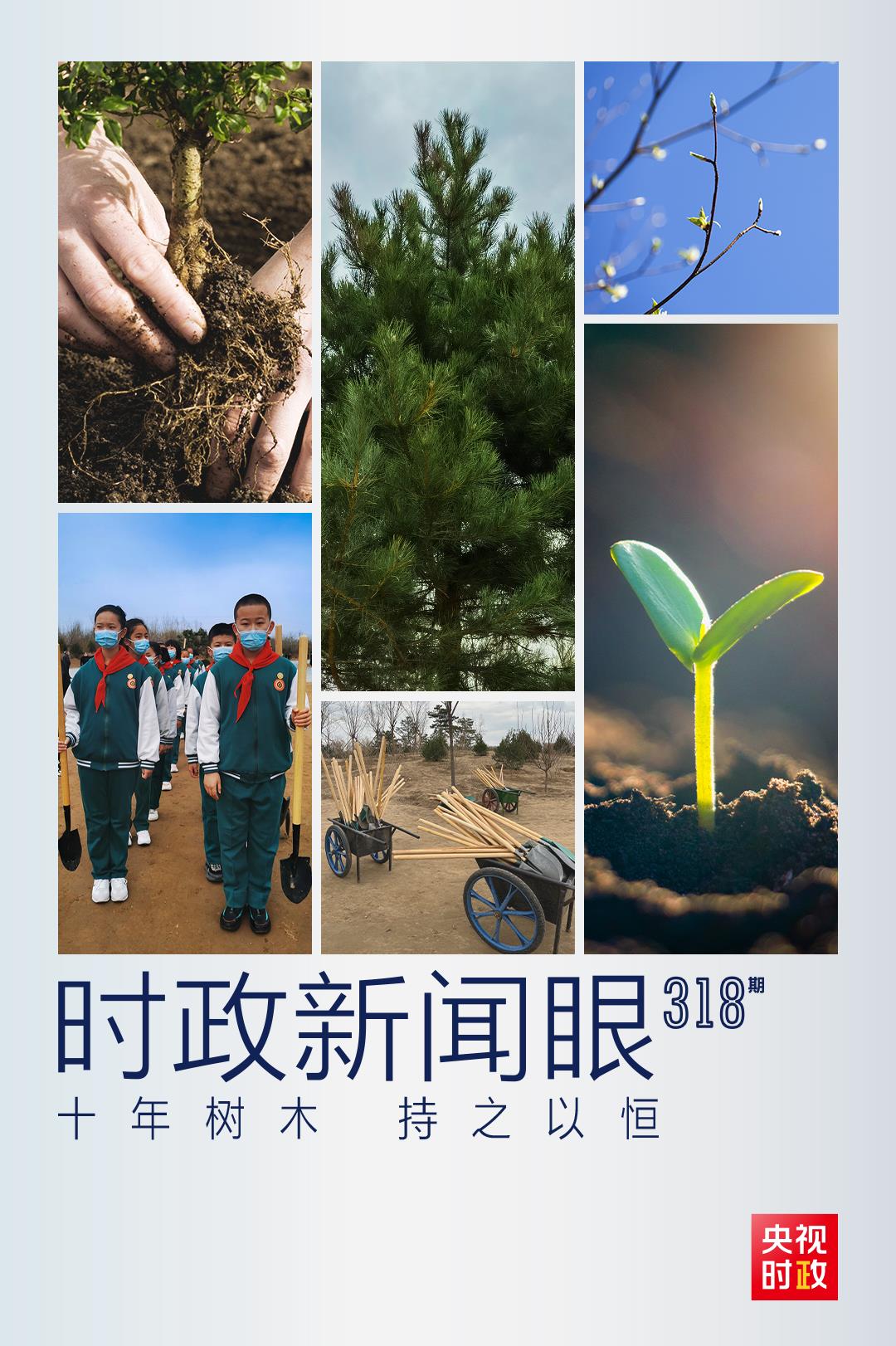 時(shí)政新聞眼丨連續(xù)第10年參加首都義務(wù)植樹(shù)，習(xí)近平發(fā)出這樣的號(hào)召