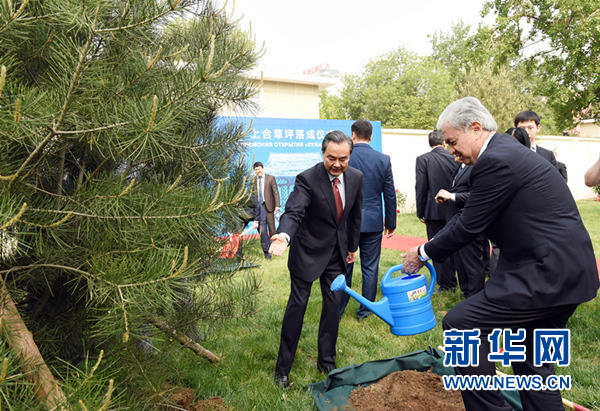 为上合峰会打前站 王毅出访中亚的三大任务