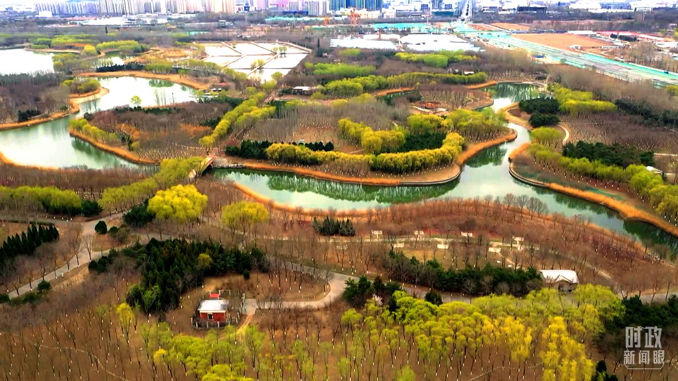 时政新闻眼丨连续第10年参加首都义务植树，习近平发出这样的号召