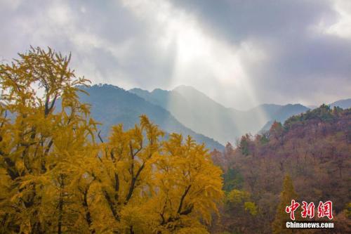 中國“申遺”之路走過30年，世遺總數(shù)穩(wěn)居世界第二