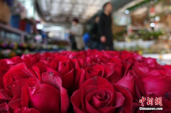 情人节“撞上”年廿九 香港年花销售预计升一成