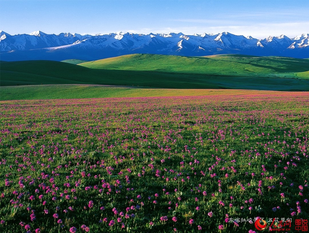 图说中国：邂逅美丽的新疆喀拉峻大草原