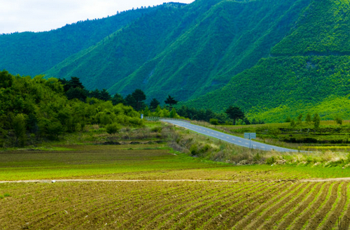 圖片默認(rèn)標(biāo)題