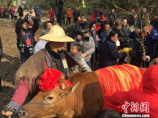 传承千年文化 浙江柯城举行世界非遗“九华立春祭”