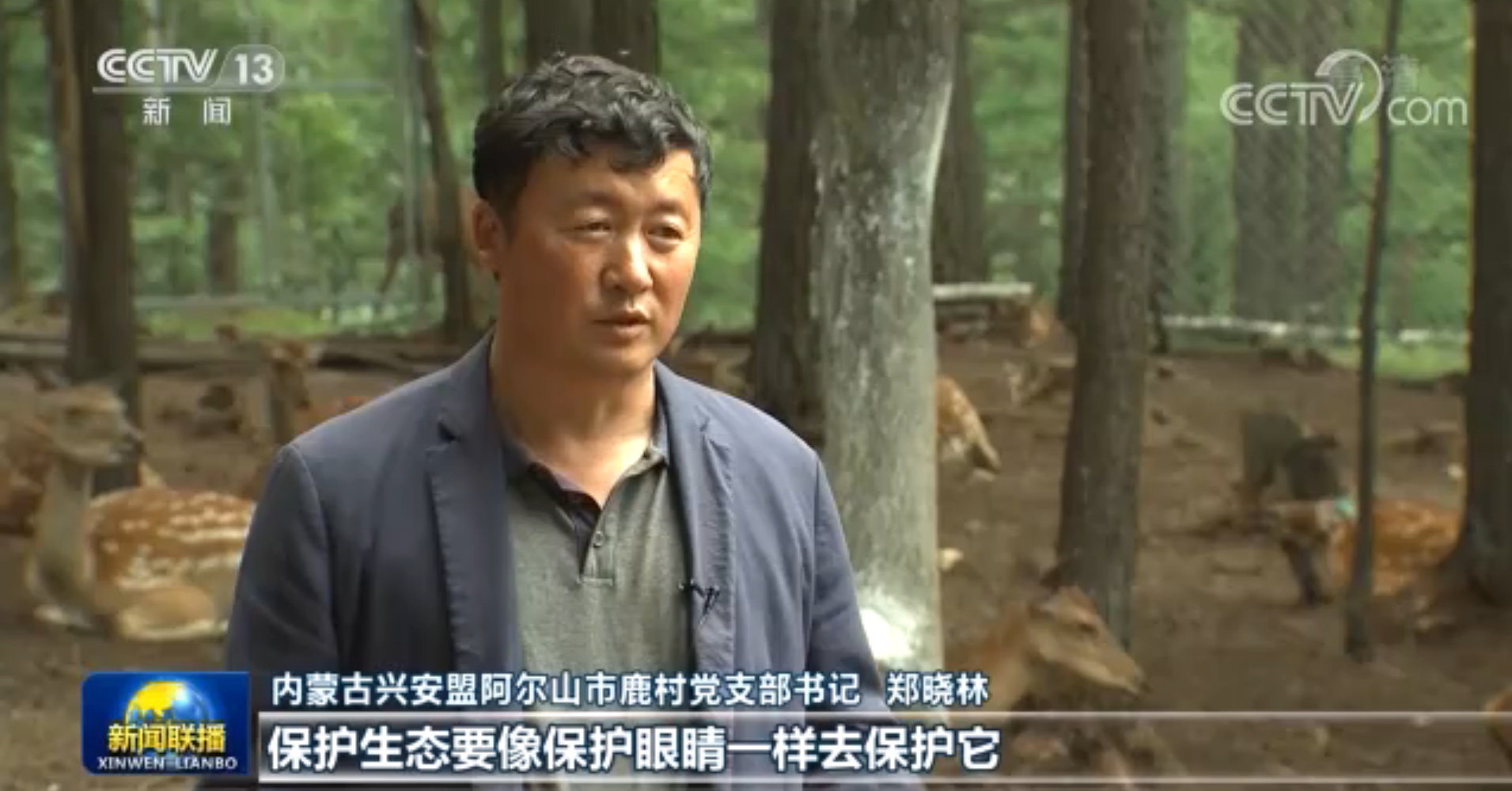 从砍树到看树 阿尔山靠林致富的小康路