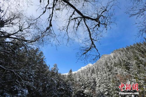 震后九寨溝開門迎客：大自然的神奇還在繼續(xù)