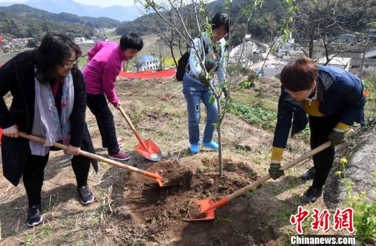 150名两岸姐妹福州共植“海峡巾帼林”