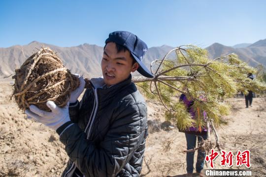 經(jīng)濟觀察：中國興起“網(wǎng)絡植樹”熱