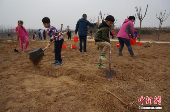 经济观察：中国兴起“网络植树”热